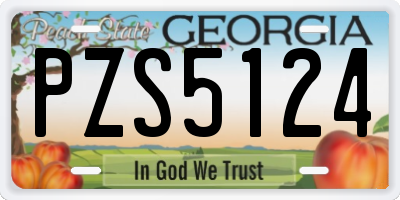 GA license plate PZS5124
