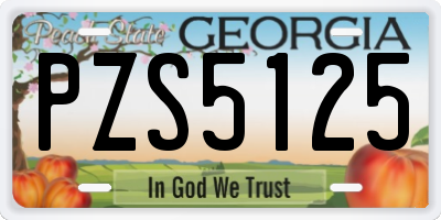 GA license plate PZS5125