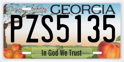 GA license plate PZS5135