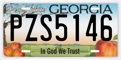 GA license plate PZS5146