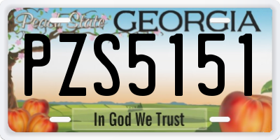 GA license plate PZS5151