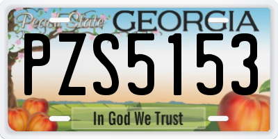 GA license plate PZS5153