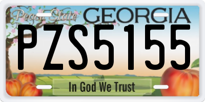 GA license plate PZS5155