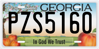 GA license plate PZS5160