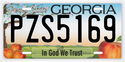 GA license plate PZS5169