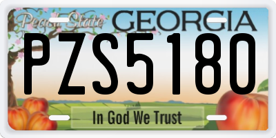 GA license plate PZS5180