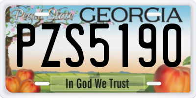 GA license plate PZS5190