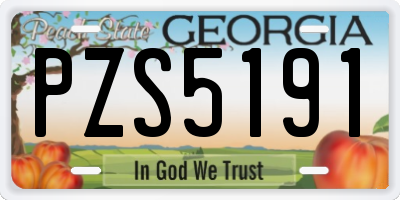 GA license plate PZS5191