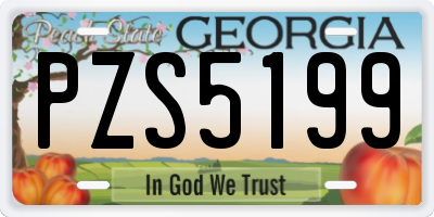 GA license plate PZS5199