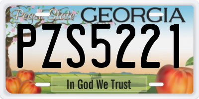 GA license plate PZS5221