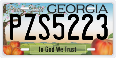 GA license plate PZS5223