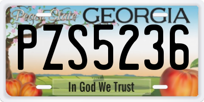 GA license plate PZS5236