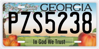 GA license plate PZS5238