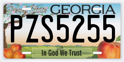 GA license plate PZS5255