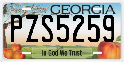 GA license plate PZS5259