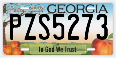GA license plate PZS5273