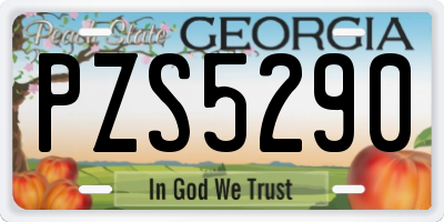 GA license plate PZS5290