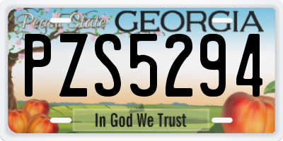 GA license plate PZS5294