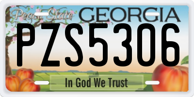 GA license plate PZS5306