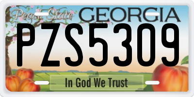 GA license plate PZS5309