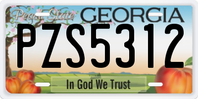 GA license plate PZS5312