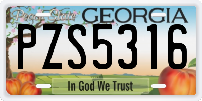 GA license plate PZS5316