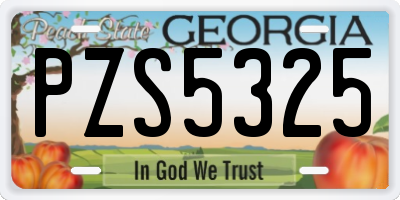 GA license plate PZS5325