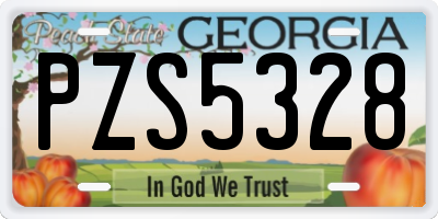 GA license plate PZS5328