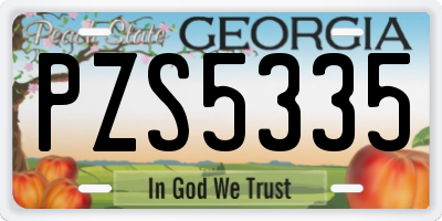 GA license plate PZS5335