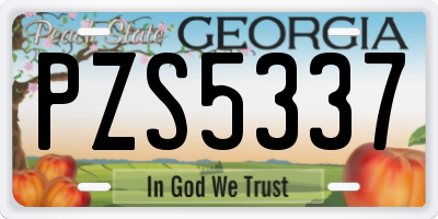 GA license plate PZS5337