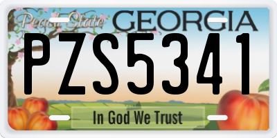 GA license plate PZS5341