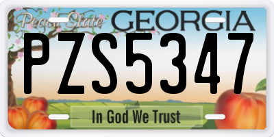 GA license plate PZS5347