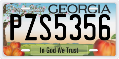 GA license plate PZS5356