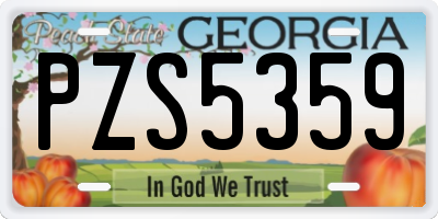 GA license plate PZS5359