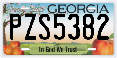 GA license plate PZS5382