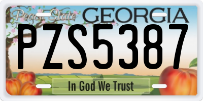 GA license plate PZS5387