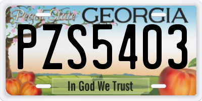 GA license plate PZS5403