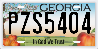 GA license plate PZS5404