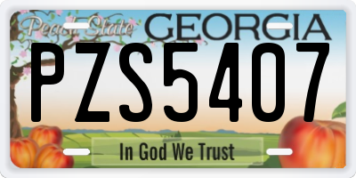 GA license plate PZS5407