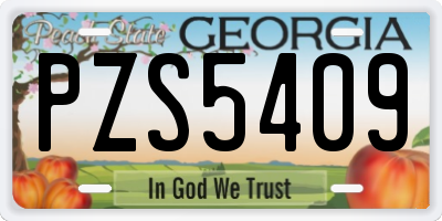 GA license plate PZS5409