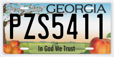GA license plate PZS5411