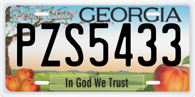 GA license plate PZS5433