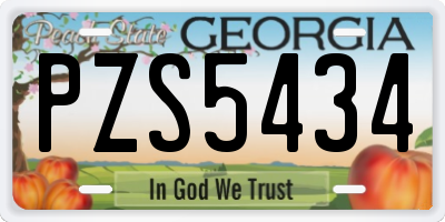 GA license plate PZS5434