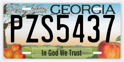 GA license plate PZS5437