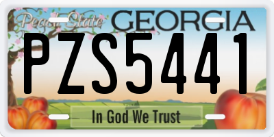 GA license plate PZS5441