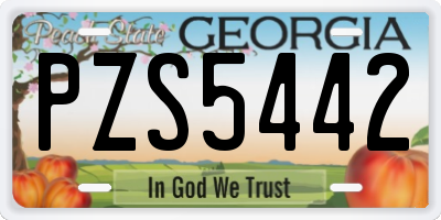 GA license plate PZS5442
