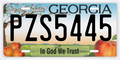 GA license plate PZS5445