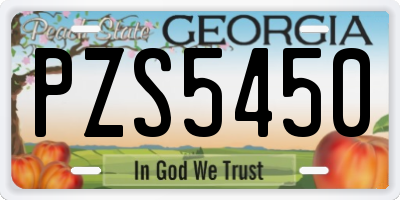 GA license plate PZS5450