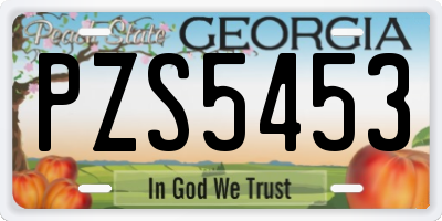 GA license plate PZS5453