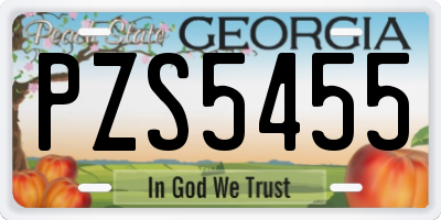 GA license plate PZS5455